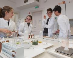 Att.vsrv7Ofceej23Iqmlx3Pojbovcftnp61M6Capnumpkq