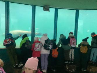 Processed B5E9A101 B054 404D Ba74 5B15F6Fe469C