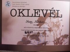 Messenger Creation 93202D90 3Fe2 4254 8279 737B2Cac7067