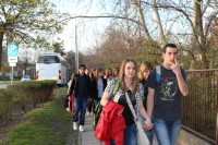 IMG_3140_átméretezve.JPG