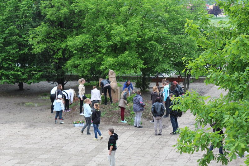 photo29.jpg